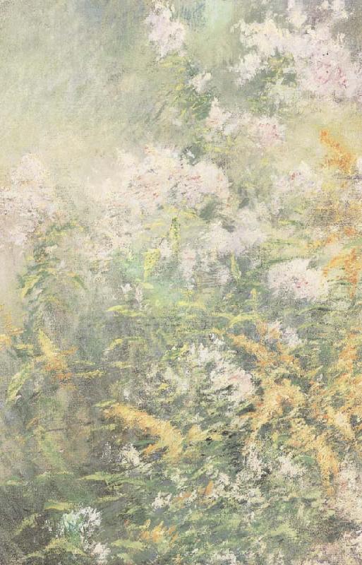 John Henry Twachtman Meadow Flowers Sweden oil painting art